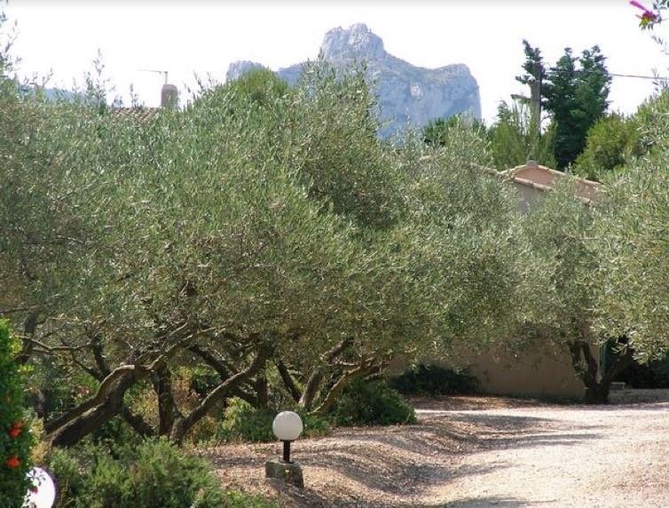 Le Mazet 40 Villa Saint-Remy-de-Provence Exterior photo
